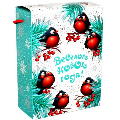 Детский новогодний подарок в картонной упаковке весом 700 грамм 